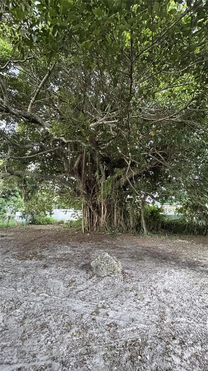 205 Seaman Ave, Opa-Locka FL 33054 — 18