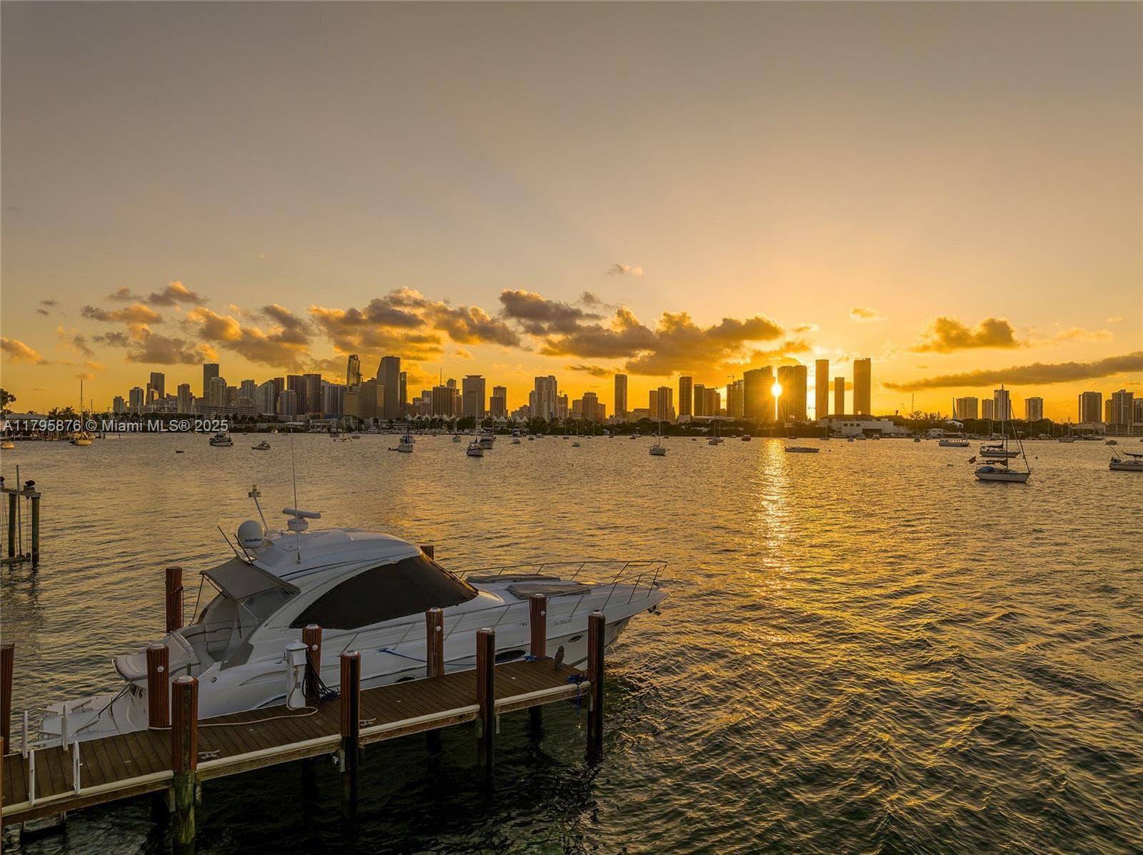 441 N Hibiscus Dr, Miami Beach FL 33139 — 52