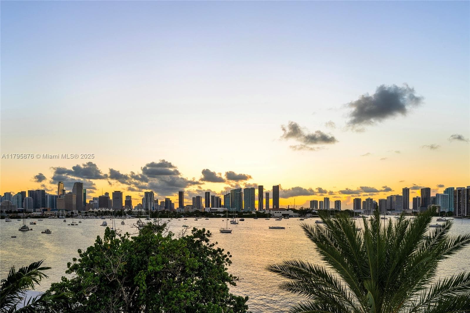 441 N Hibiscus Dr, Miami Beach FL 33139 — 74