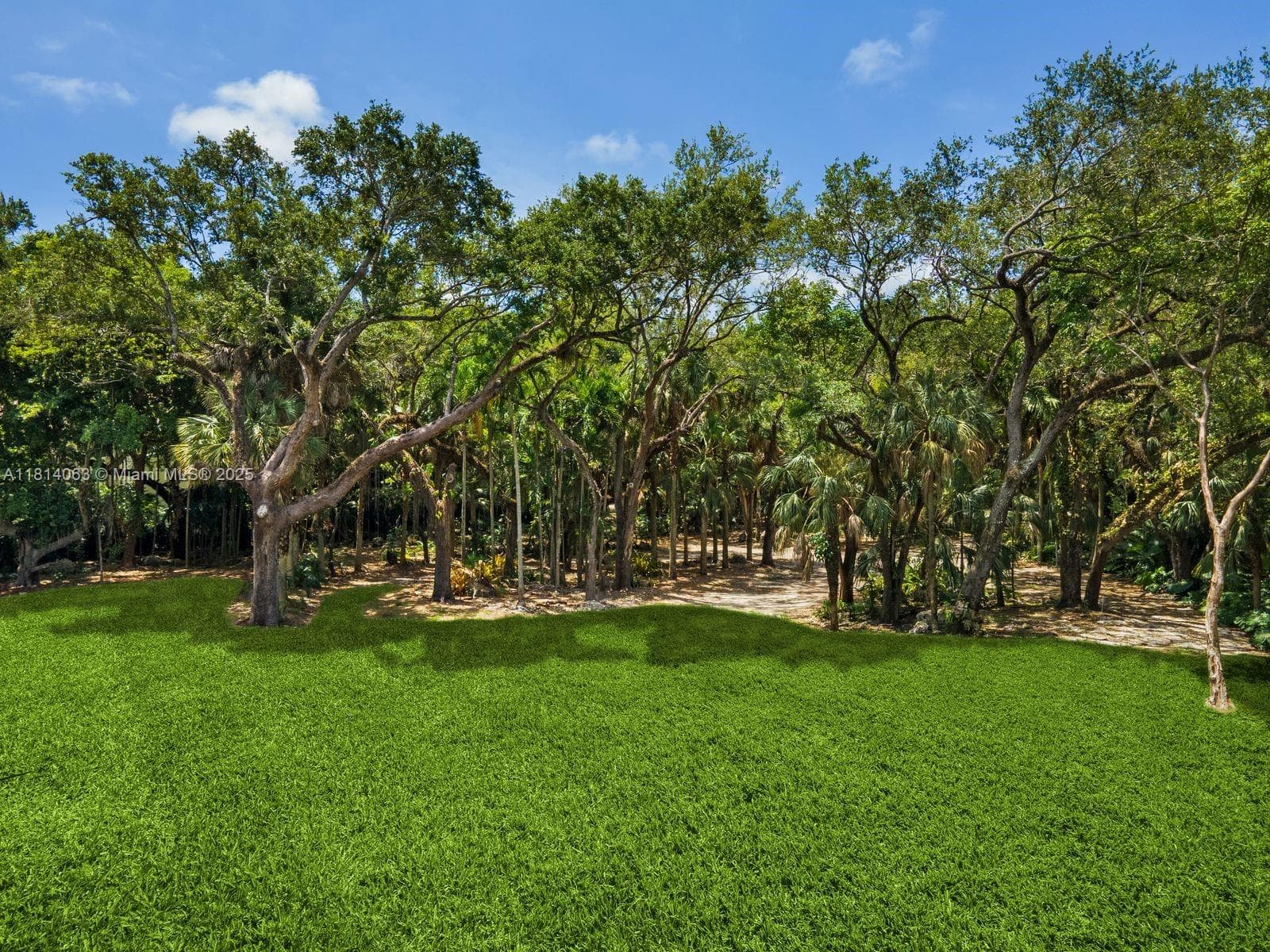 5355 Hammock Dr, Coral Gables FL 33156 — 4