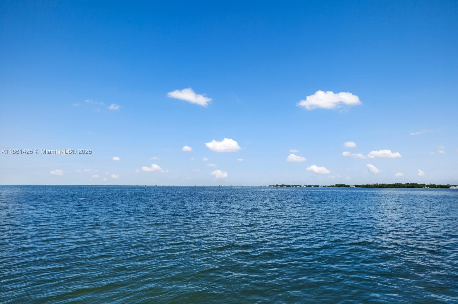 1840 S Bayshore Ln, Miami FL 33133 — 57
