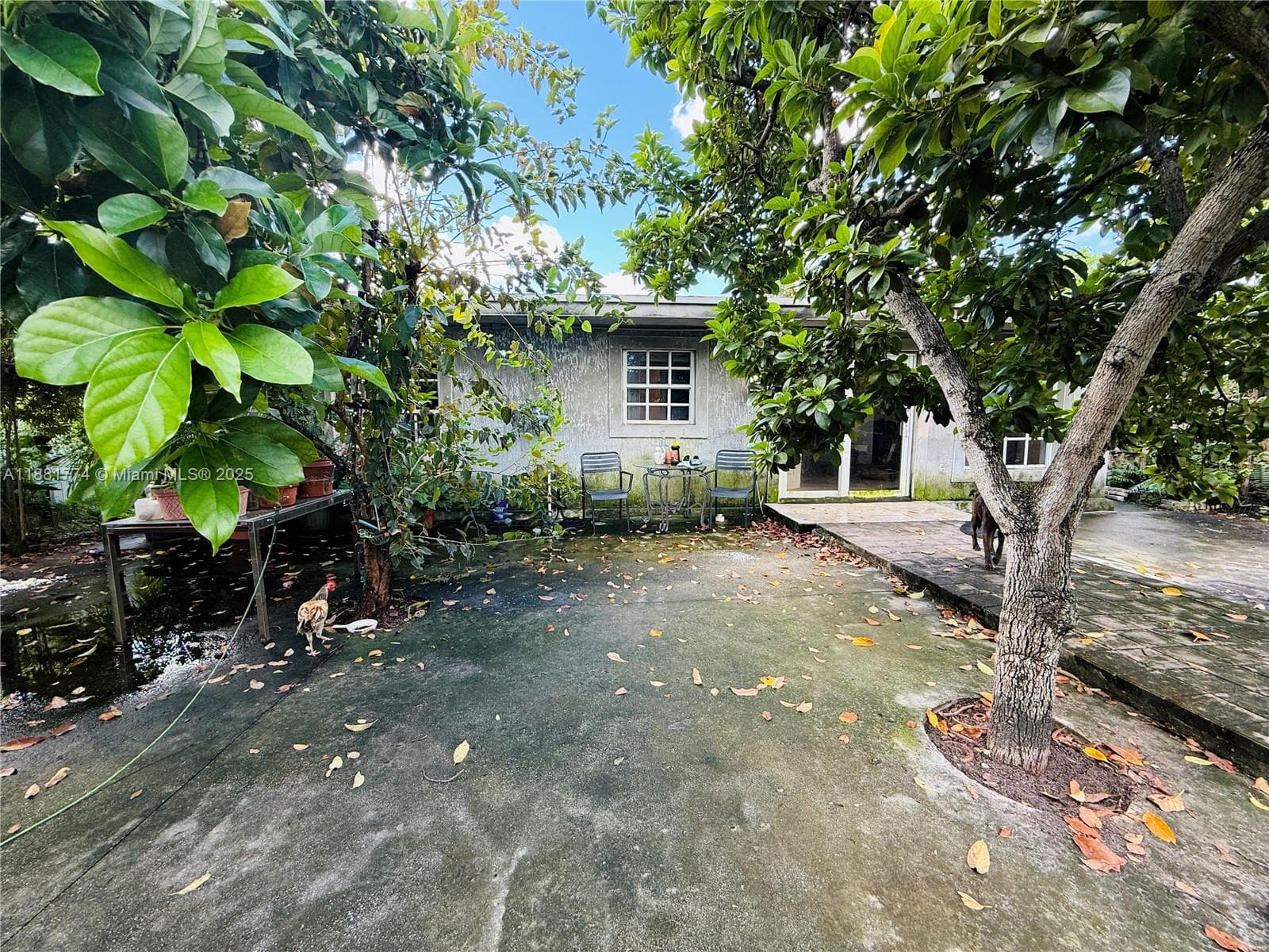3171 NW 133rd St, Opa-Locka FL 33054 — 25