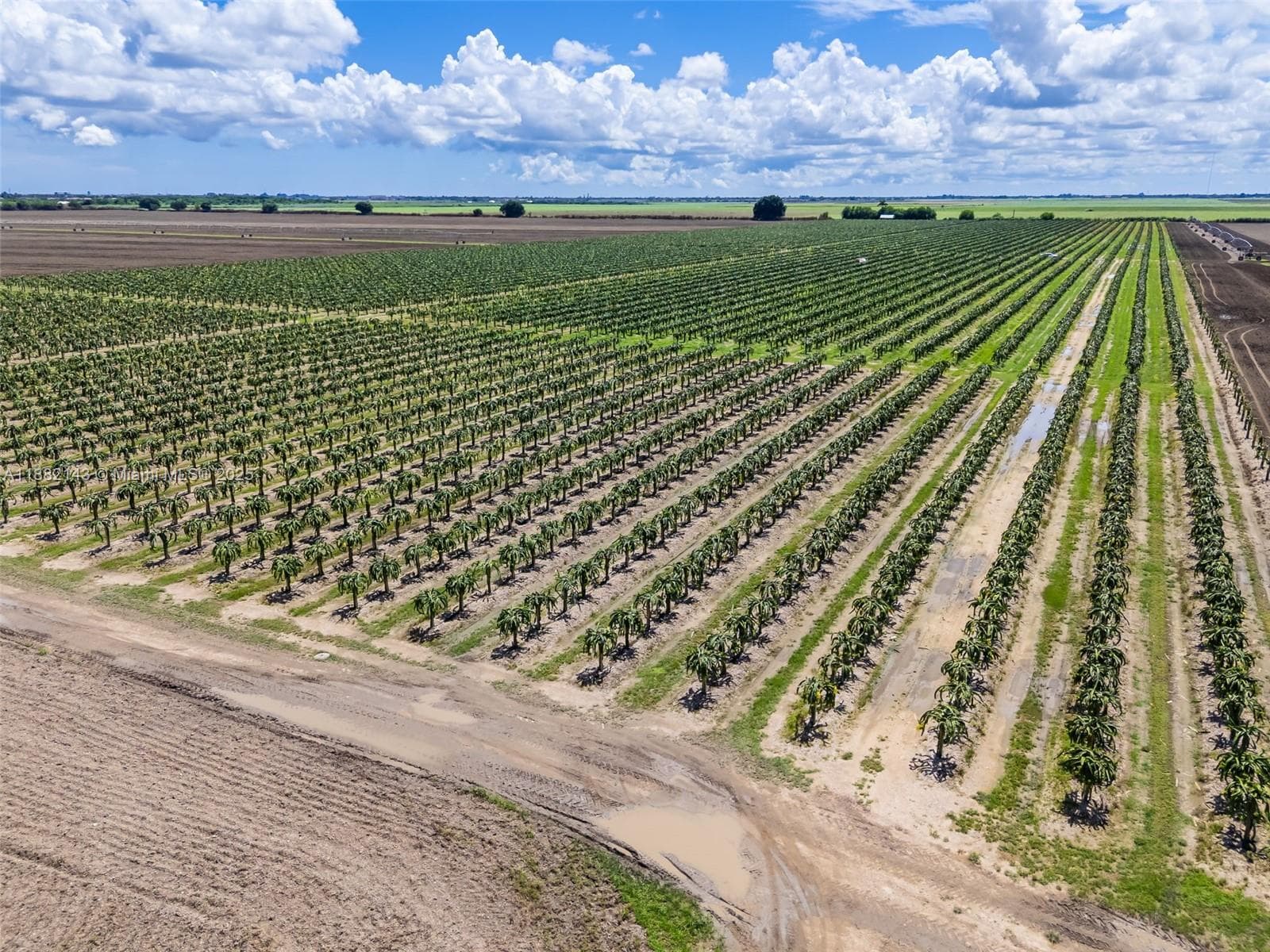 SW MIAMI-DADE, Miami FL 33196 — 17