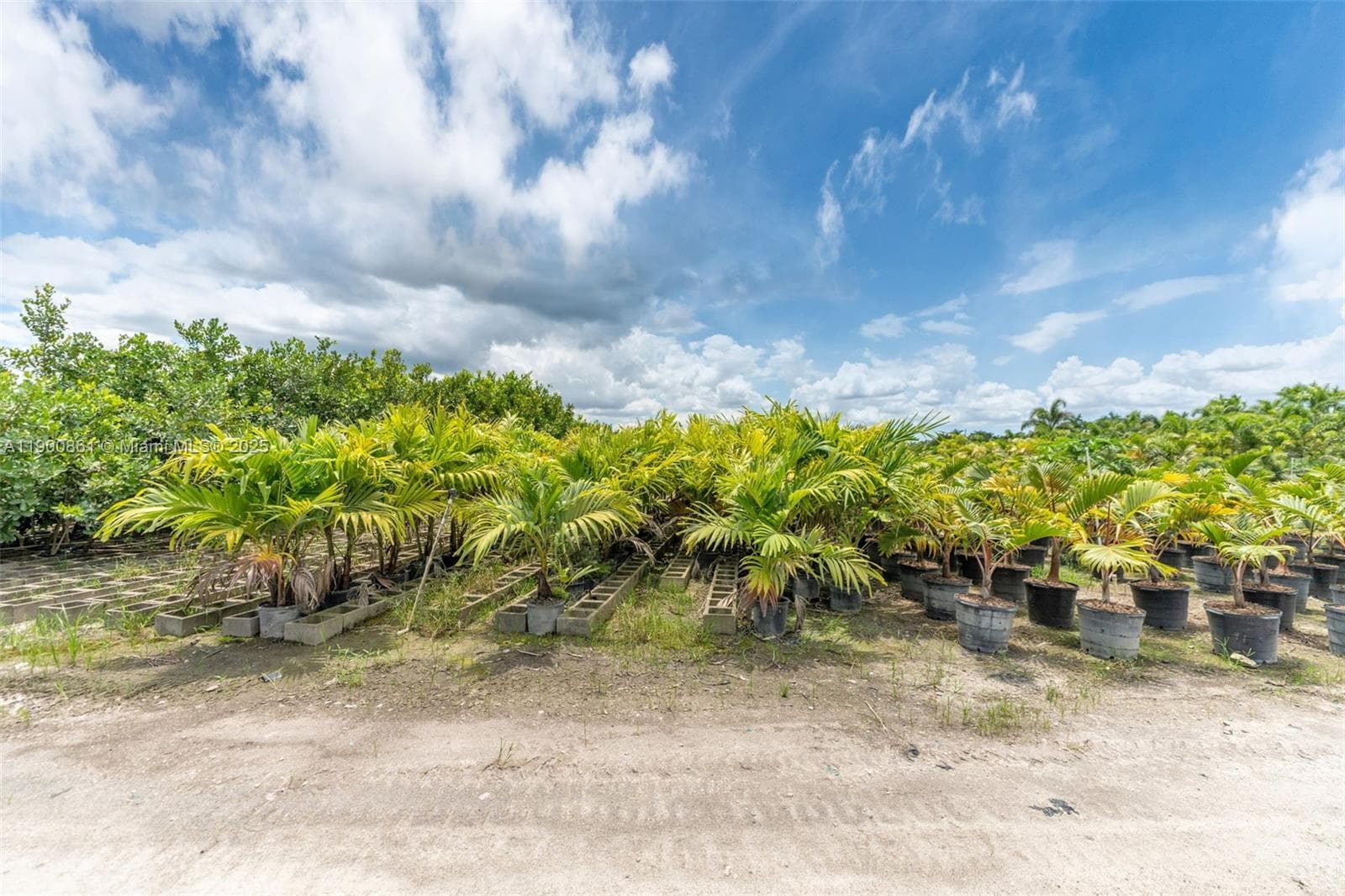 19000 SW KROME AKA 177 AVE, Miami FL 33187 — 34