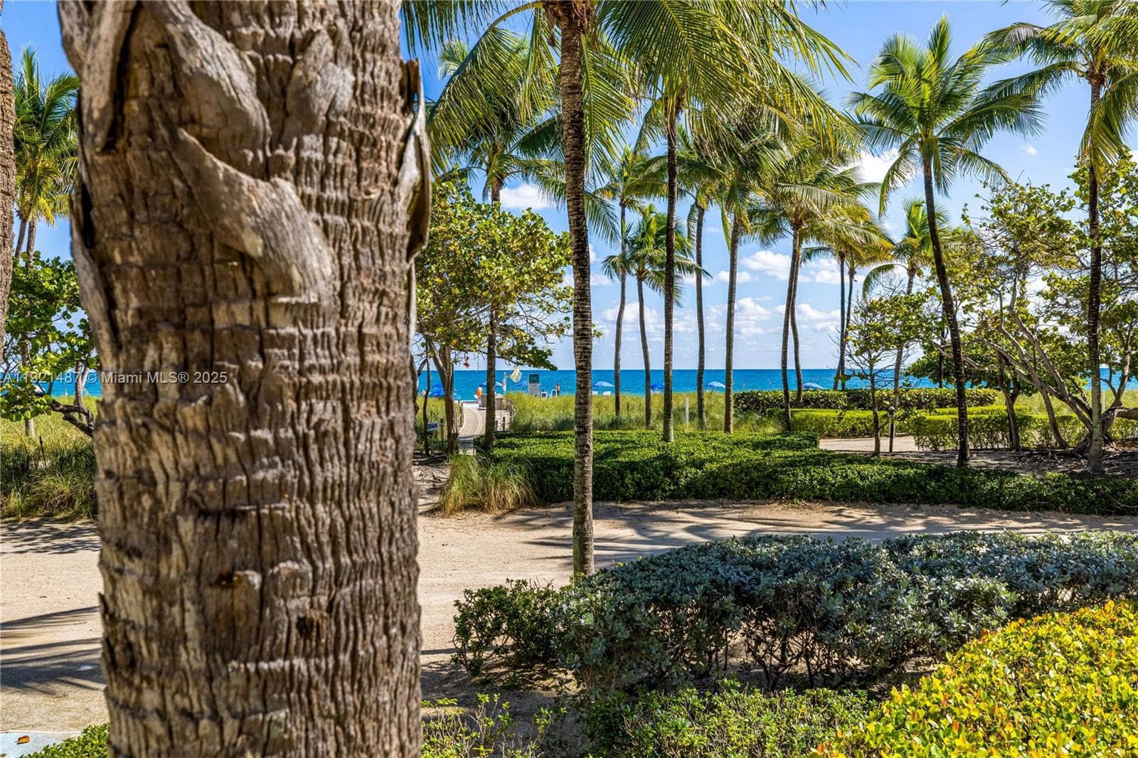 10155 Collins Ave # 202, Bal Harbour FL 33154 — 9