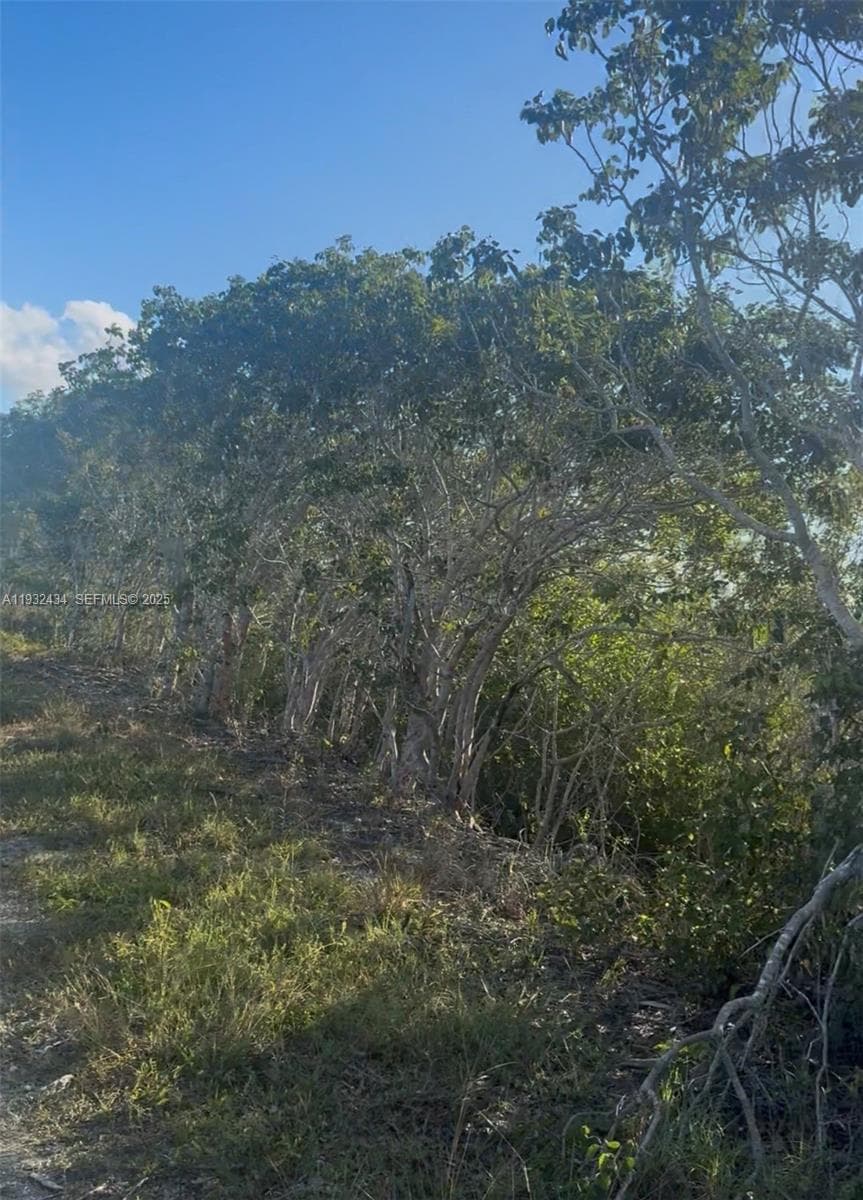 UNINCORPORATED, UNINCORPORATED,, Homestead FL 33035 — 9