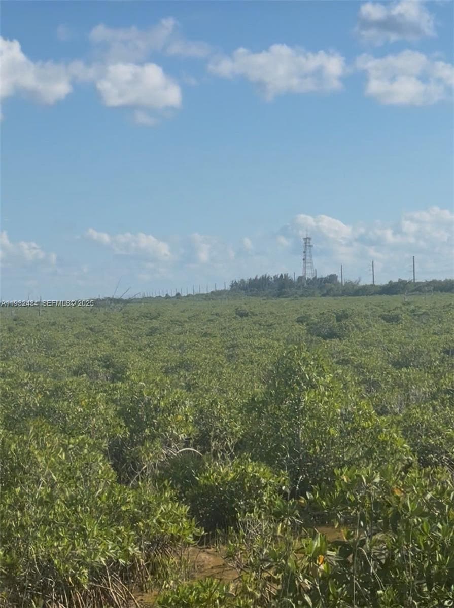 UNINCORPORATED, UNINCORPORATED,, Homestead FL 33035 — 11