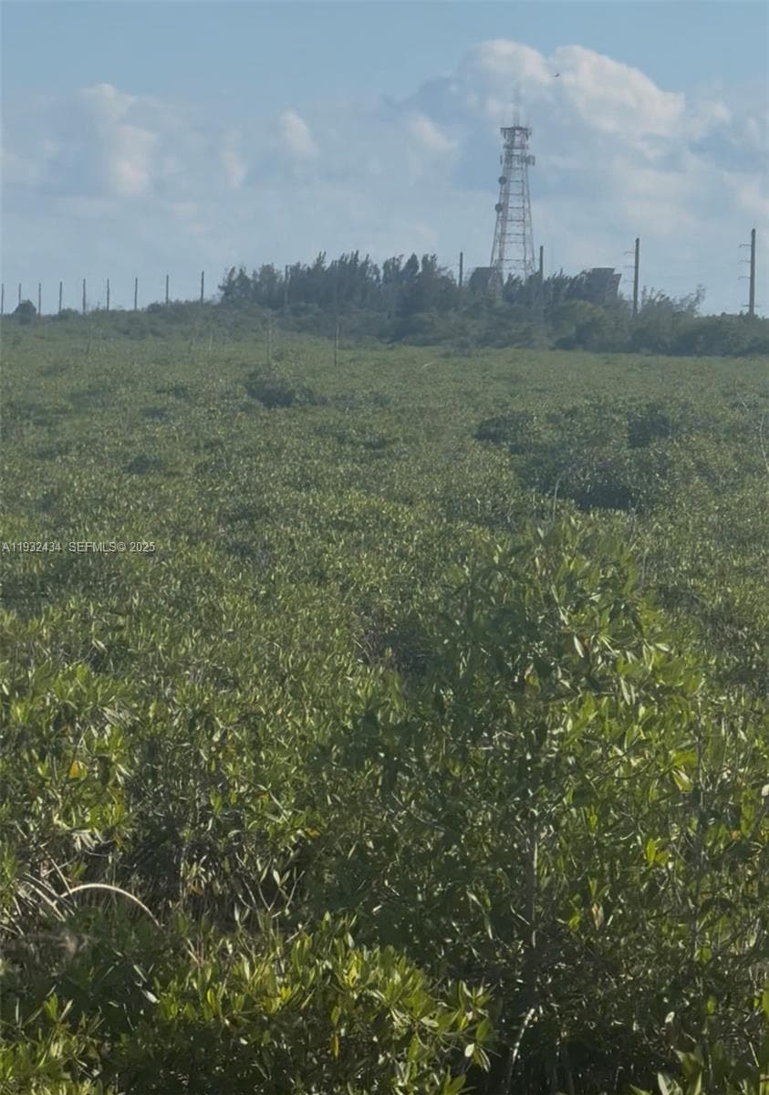 UNINCORPORATED, UNINCORPORATED,, Homestead FL 33035 — 4