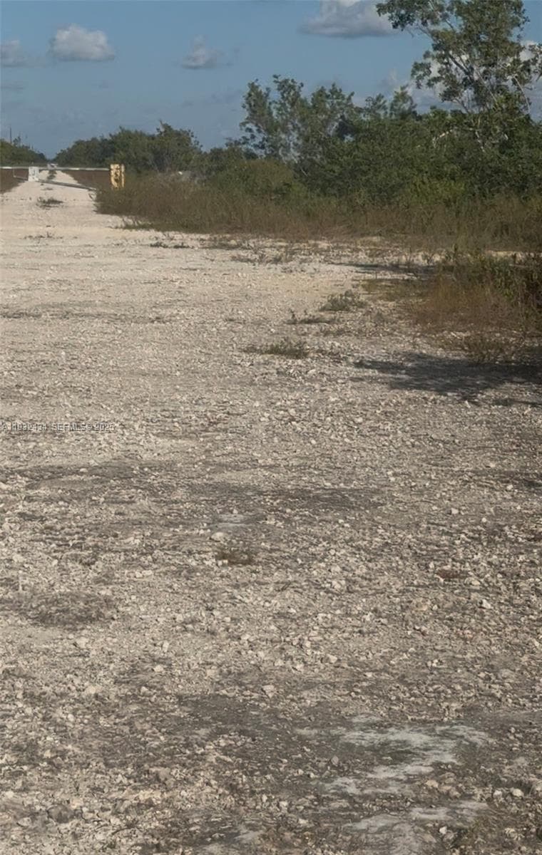 UNINCORPORATED, UNINCORPORATED,, Homestead FL 33035 — 25