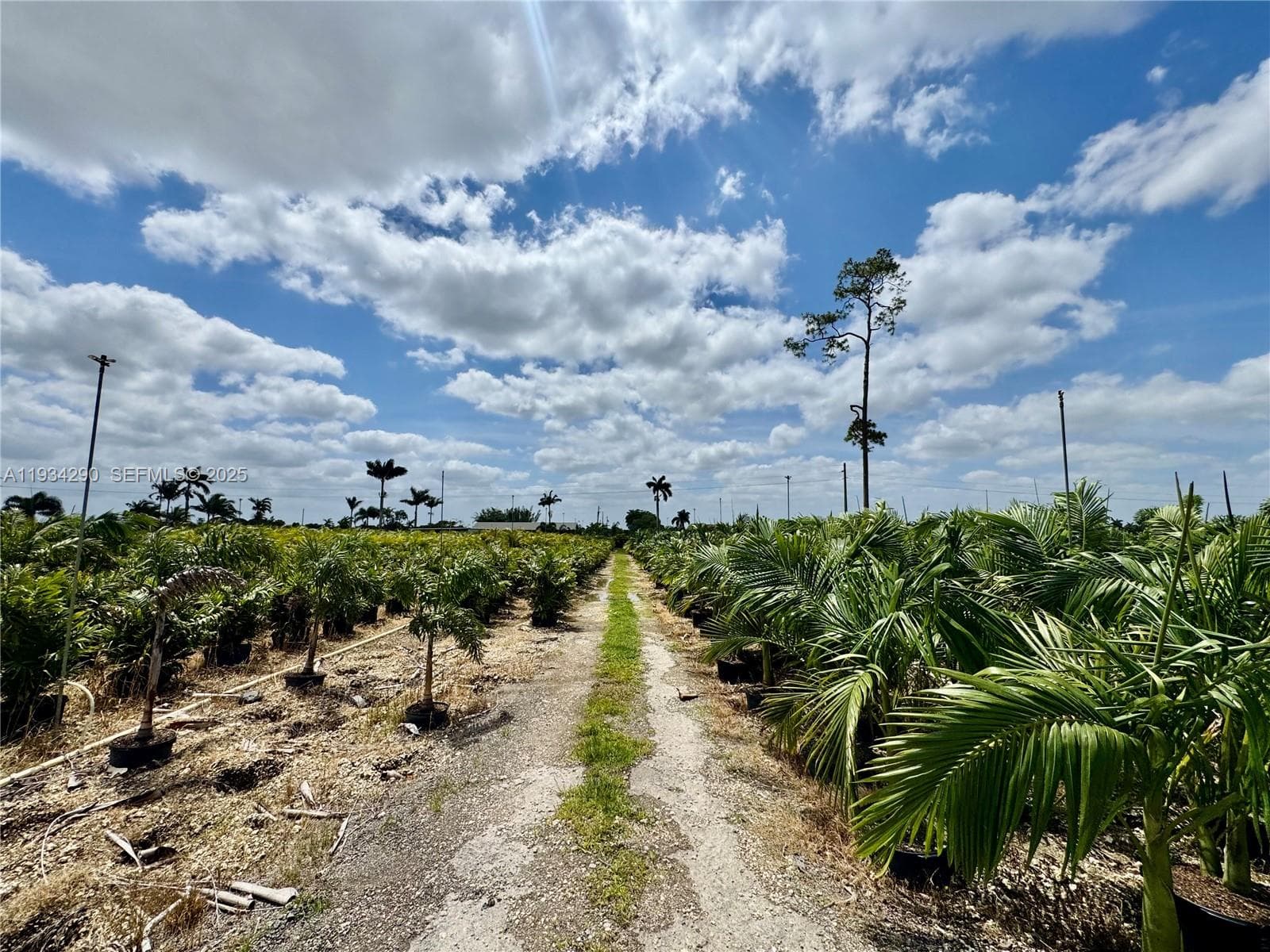 32800 SW 202nd Ave, Homestead FL 33034 — 23
