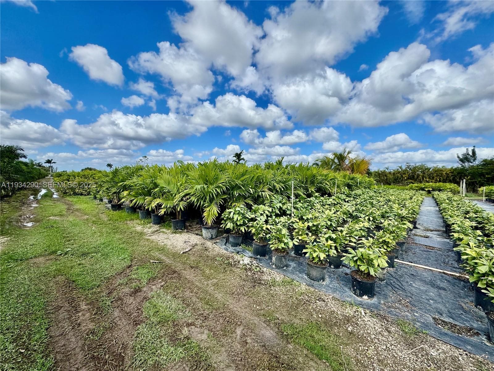 32800 SW 202nd Ave, Homestead FL 33034 — 7