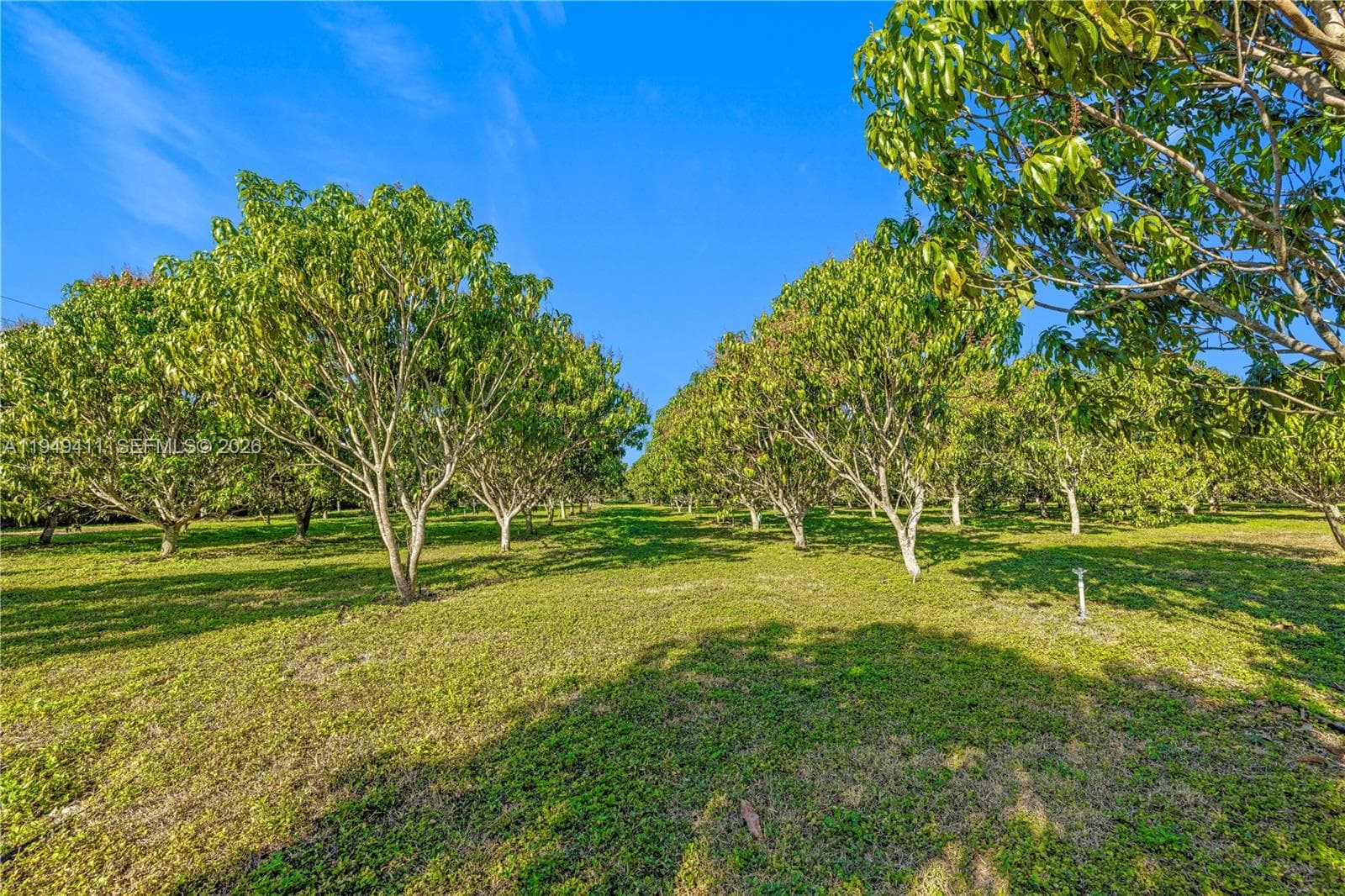 27950 SW 182nd Ave, Homestead FL 33031 — 40