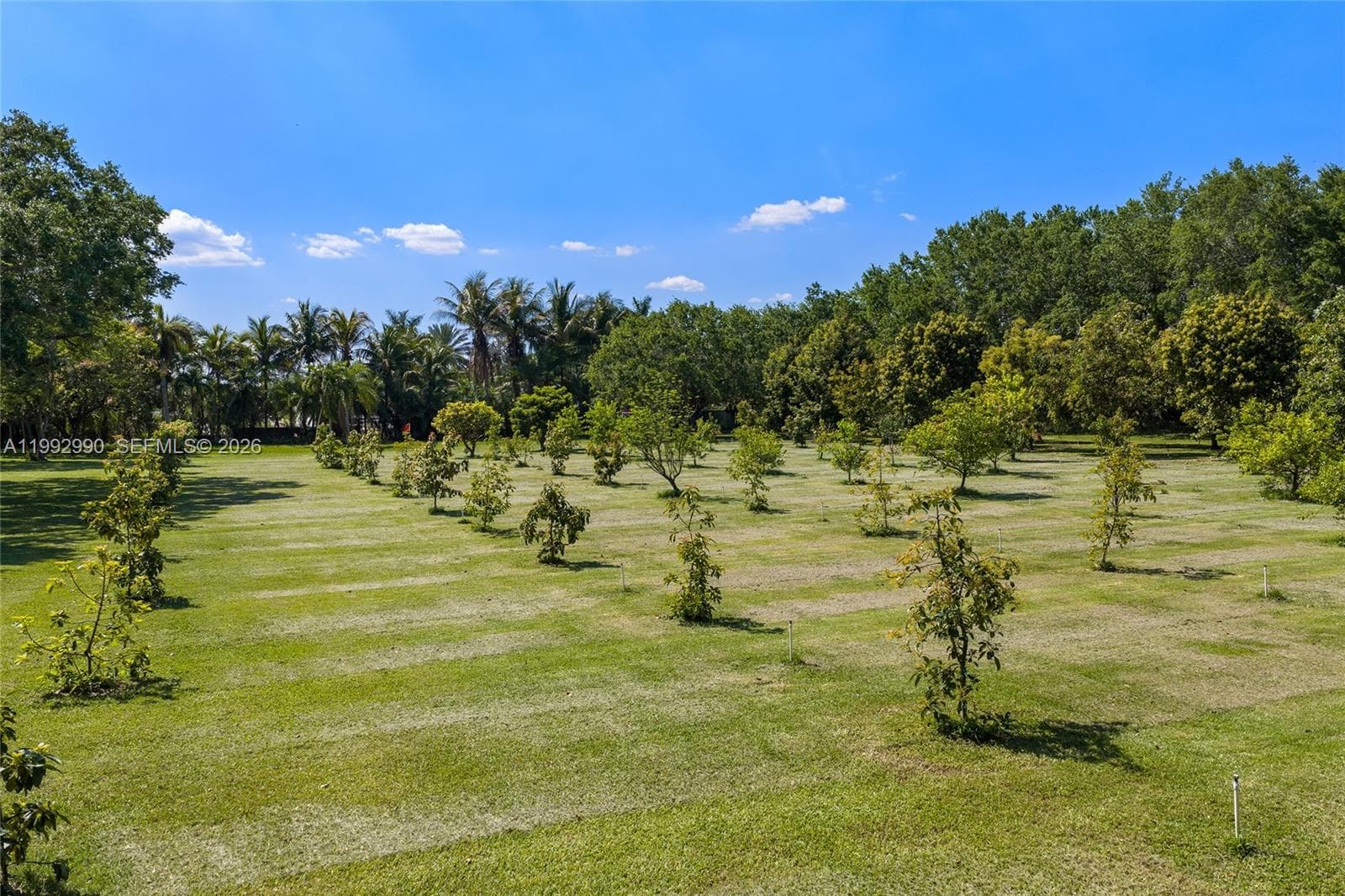 15000 SW 200th St, Miami FL 33187 — 55