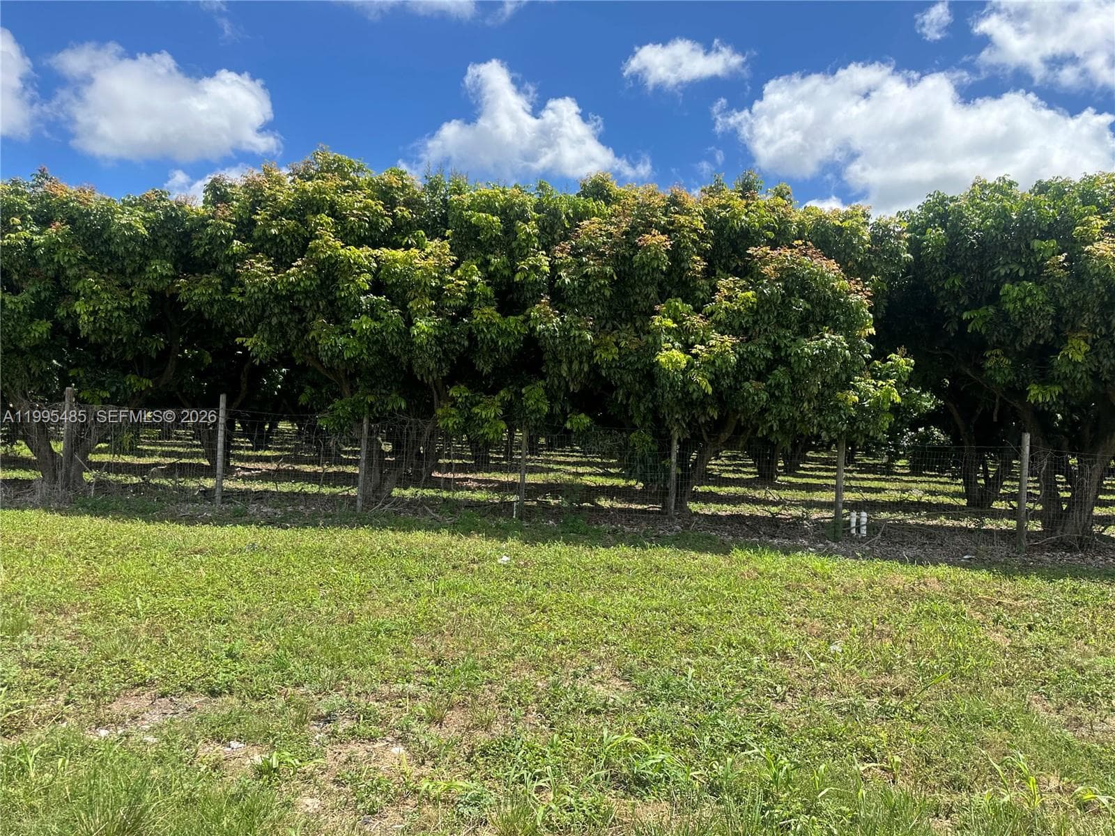 SW 344 St., Homestead FL 33034 — 17