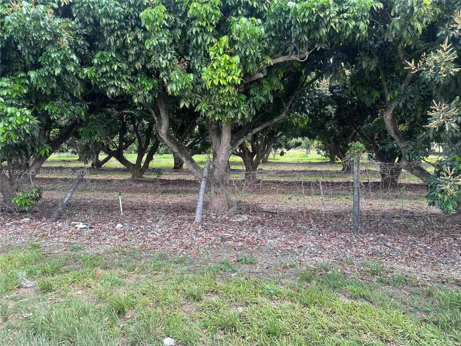 SW 344 St., Homestead FL 33034 — 7