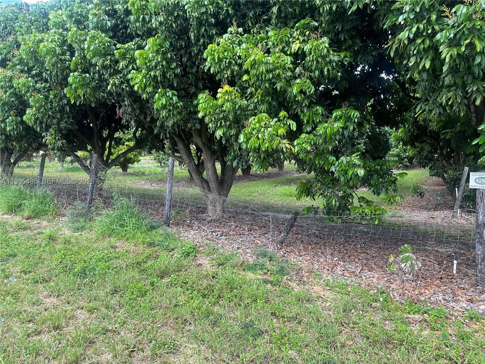 SW 344 St., Homestead FL 33034 — 3