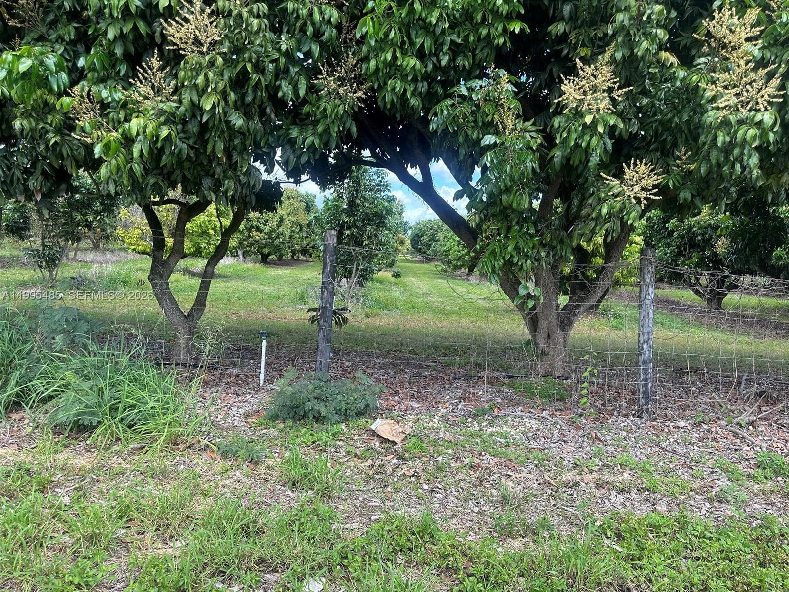 SW 344 St., Homestead FL 33034 — 5