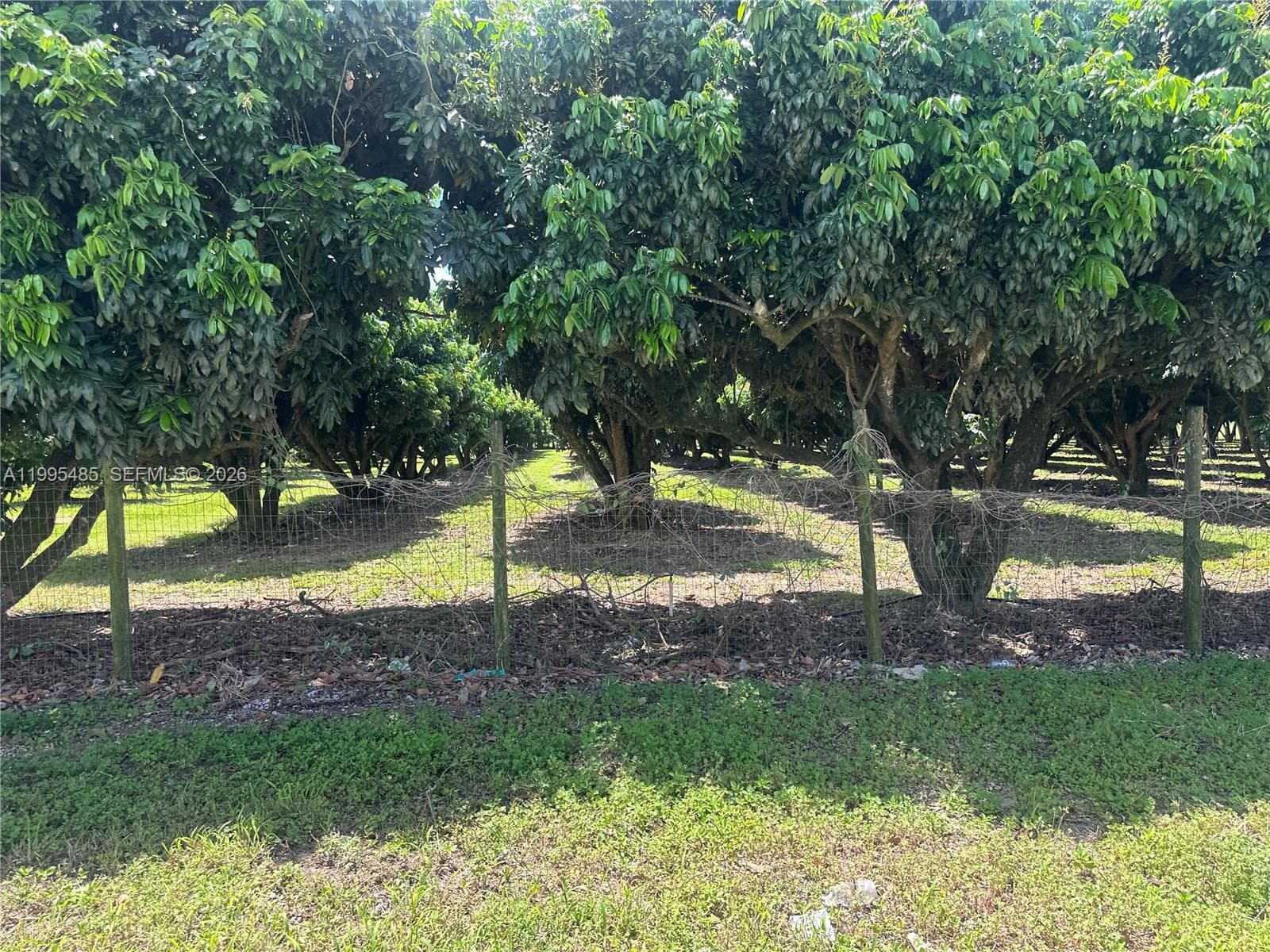 SW 344 St., Homestead FL 33034 — 20