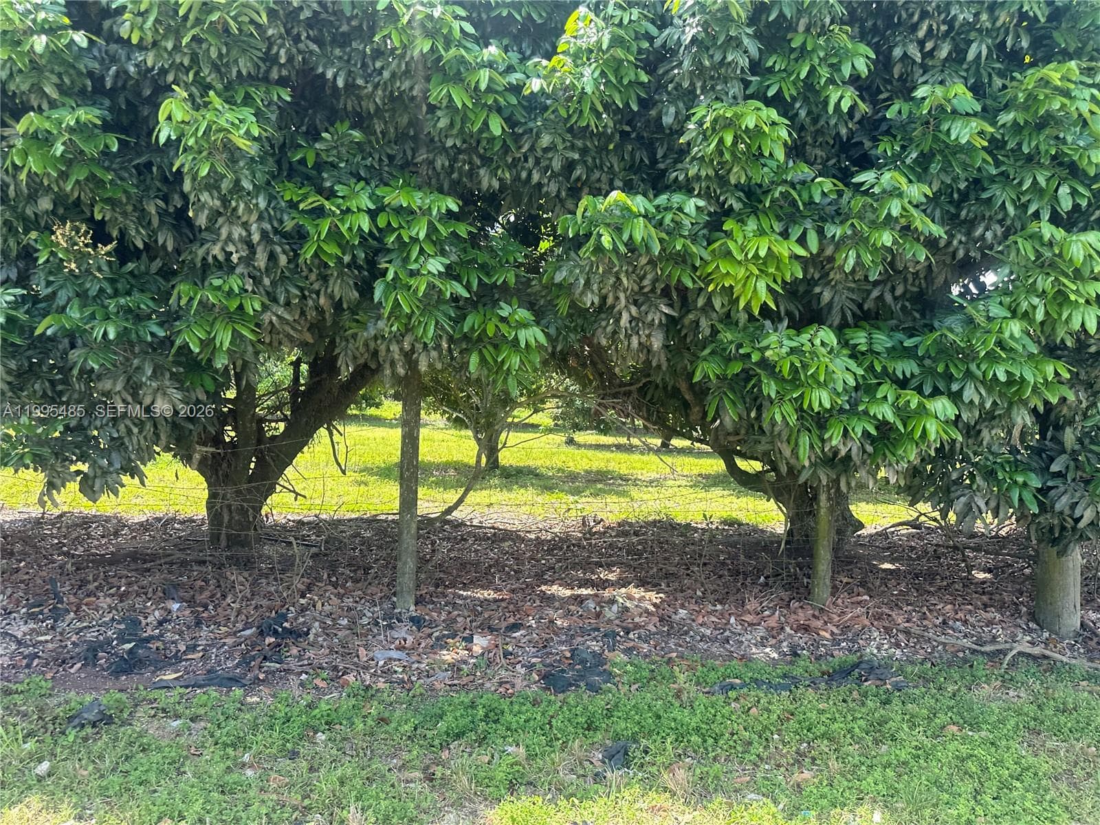SW 344 St., Homestead FL 33034 — 24