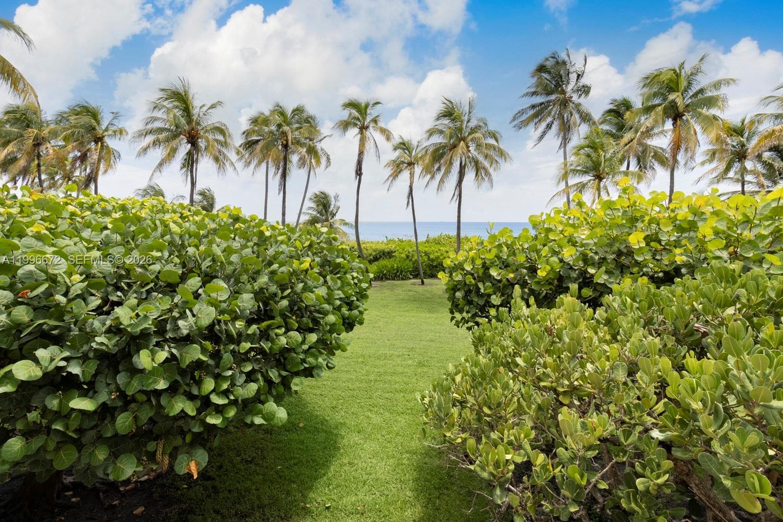 201 Crandon Blvd # 174, Key Biscayne FL 33149 — 63