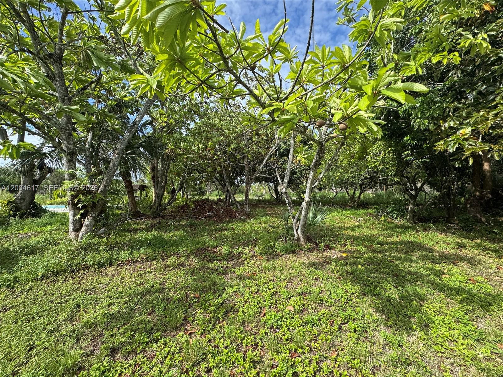 24000 SW 167th Ave, Homestead FL 33031 — 12