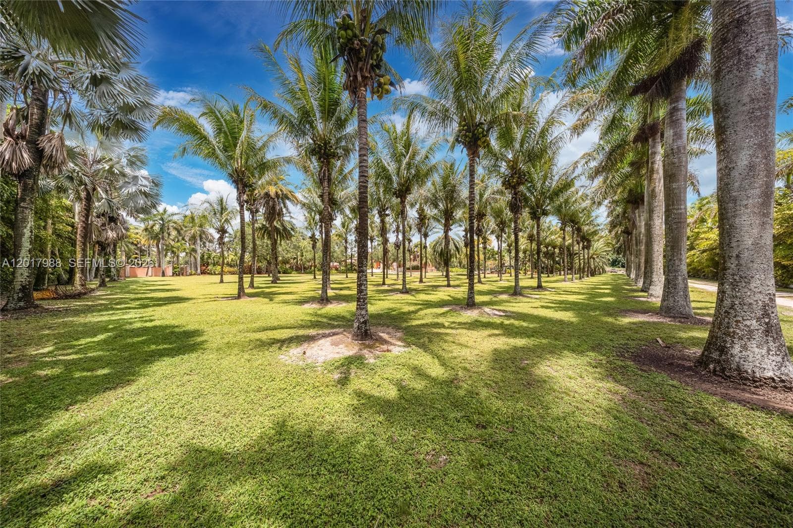17201 SW 248th St, Homestead FL 33031 — 84
