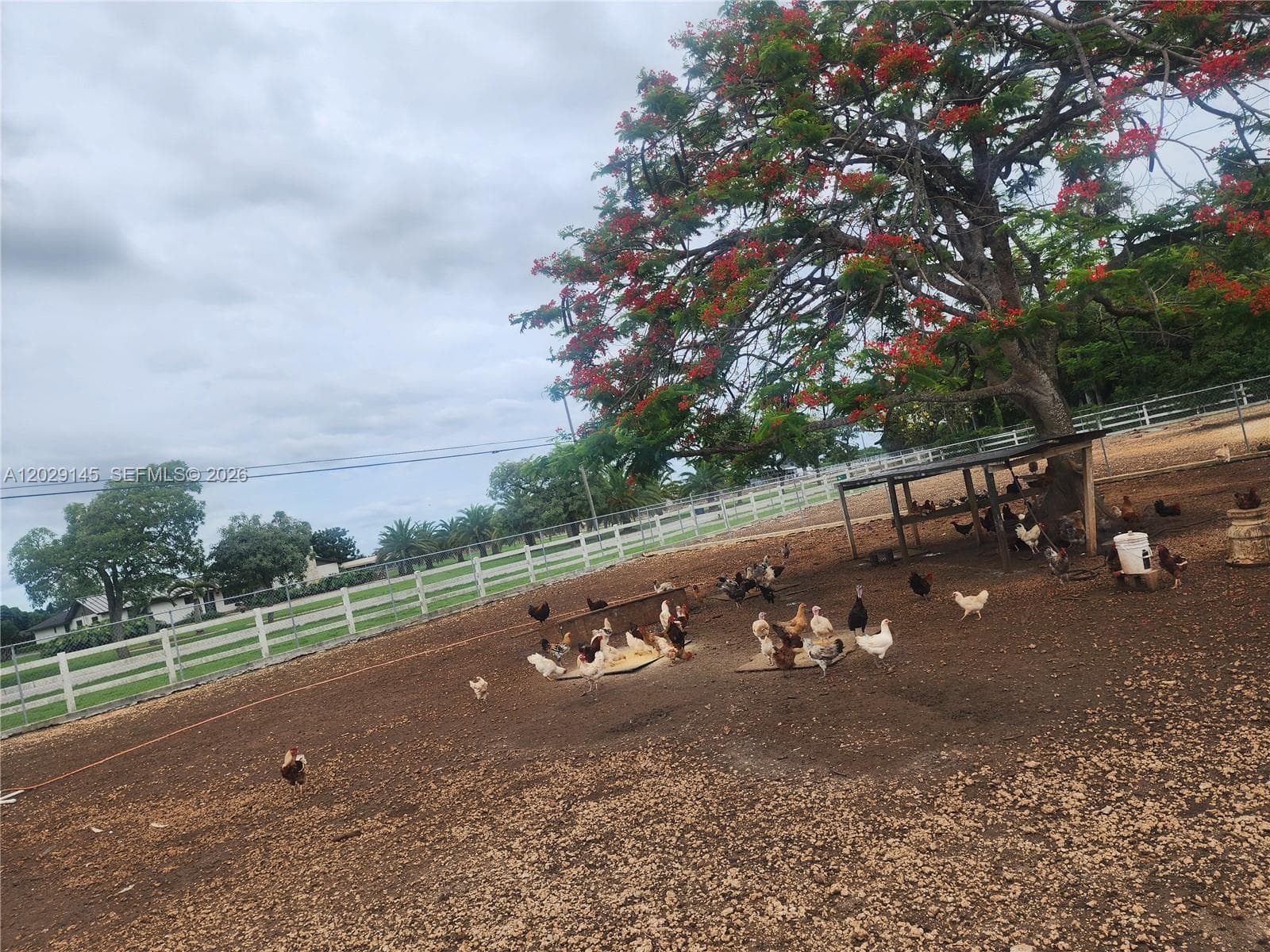Redland, Homestead, FL — 30